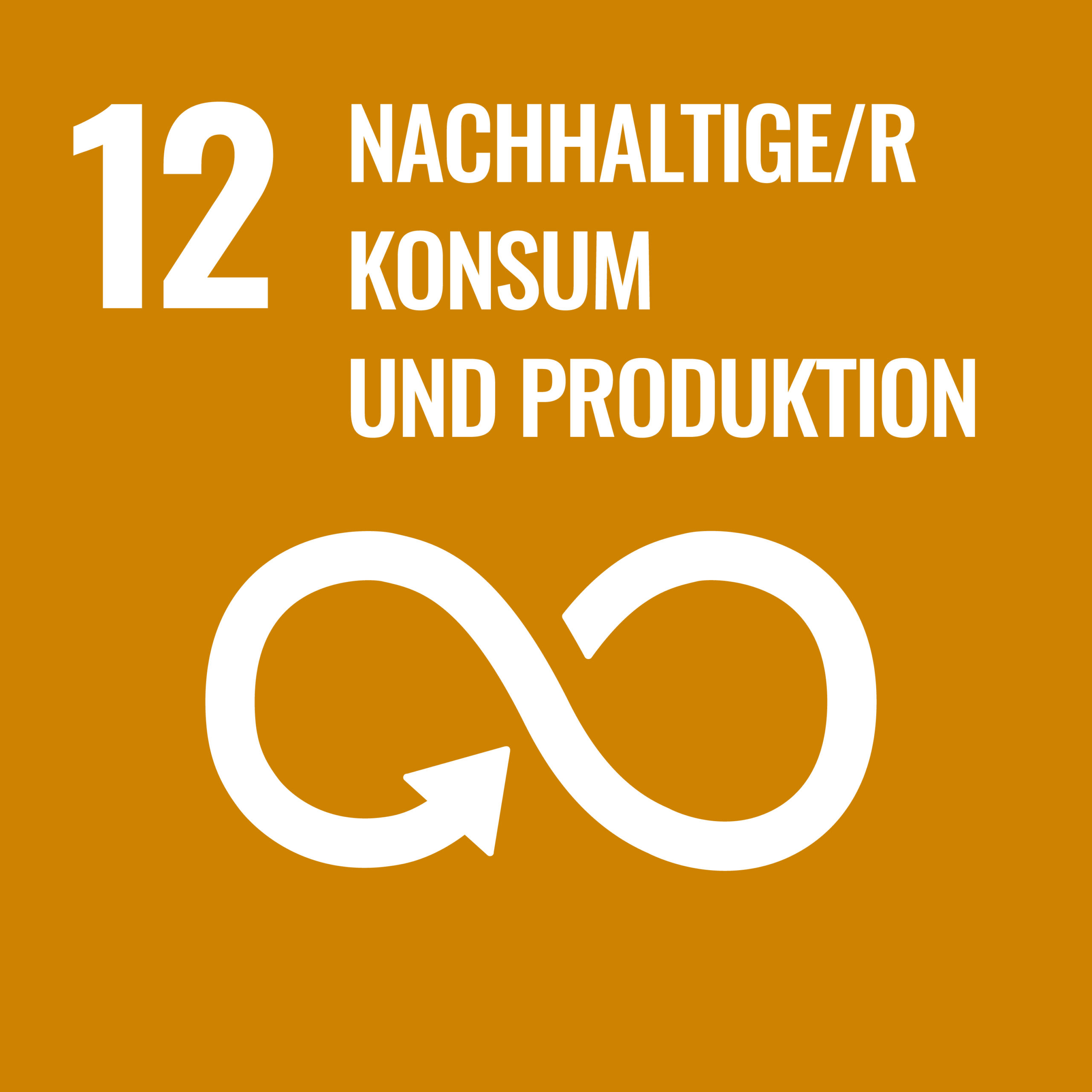 Mediengruppe Wiener Zeitung Nachhaltigkeitsbericht 2023 - SDG_icons_DE-12